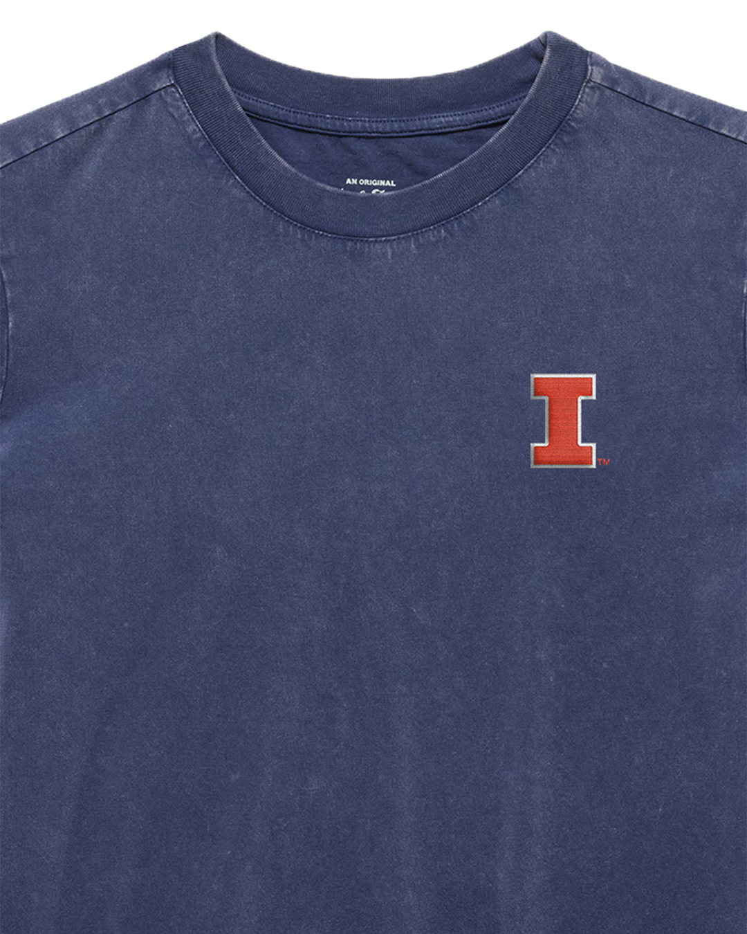 ILLINOIS WASHED TEE