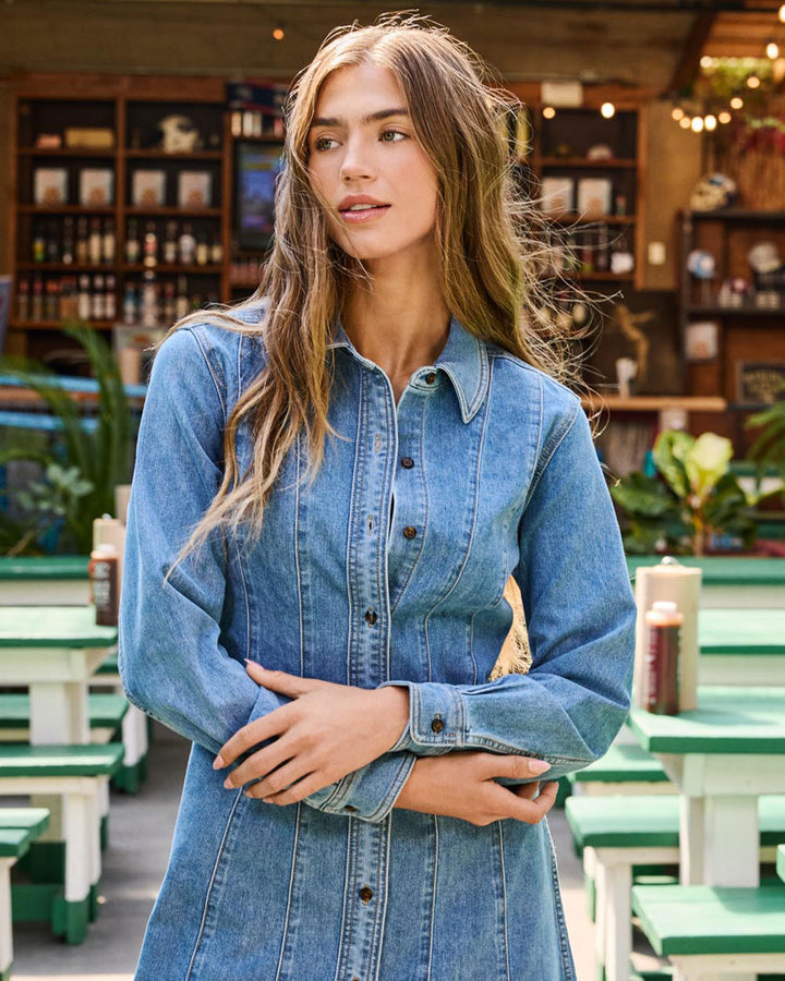 BLOOMFIELD STRETCH DENIM DRESS