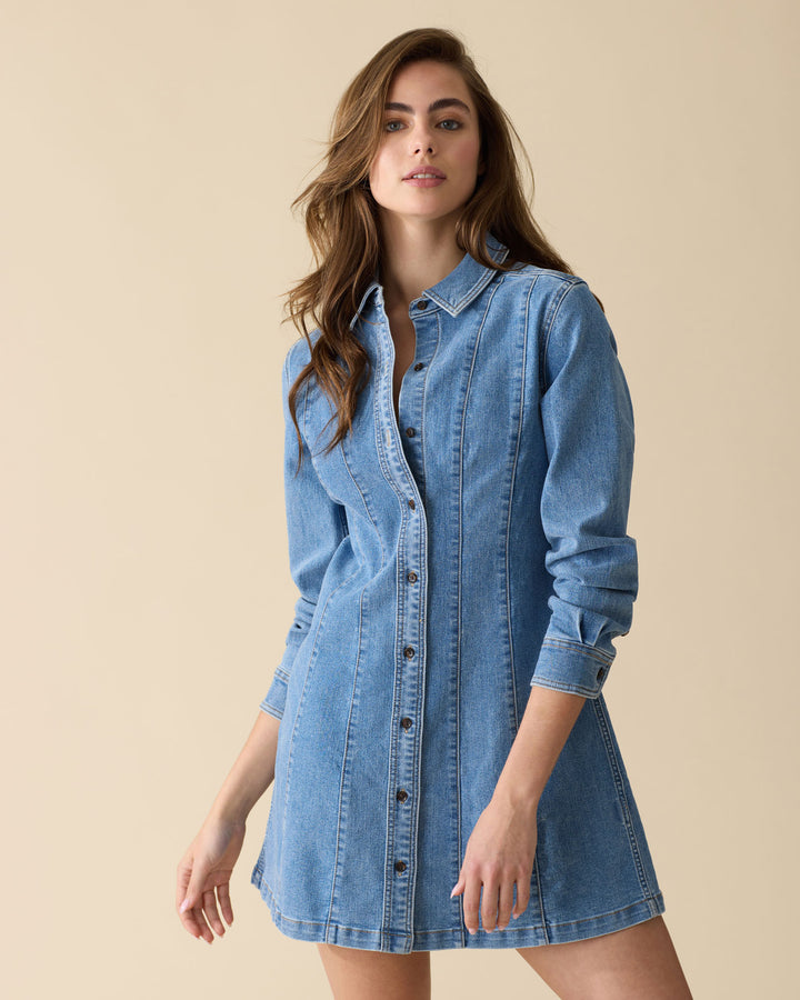 BLOOMFIELD STRETCH DENIM DRESS